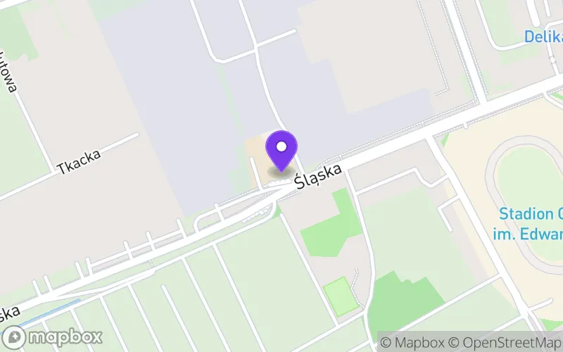 Lokalizacja: Branżowa Szkoła I Stopnia nr 4 w Zespole Szkół Kreowania Wizerunku im. Krzysztofa Kieślowskiego w Gorzowie Wielkopolskim