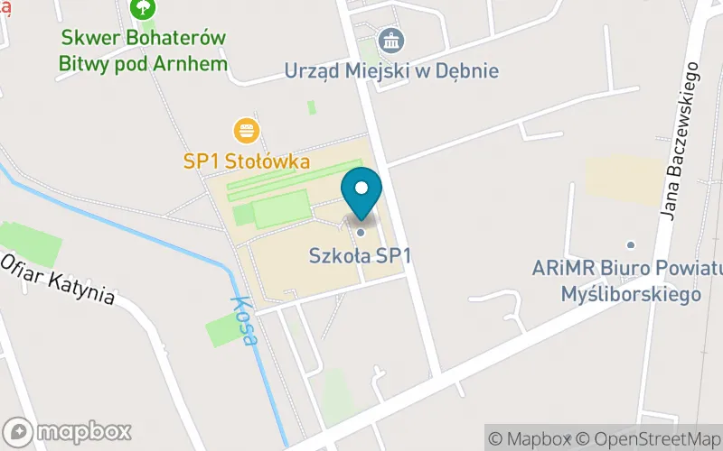 Lokalizacja: Szkoła Podstawowa nr 1 im. Komisji Edukacji Narodowej w Dębnie