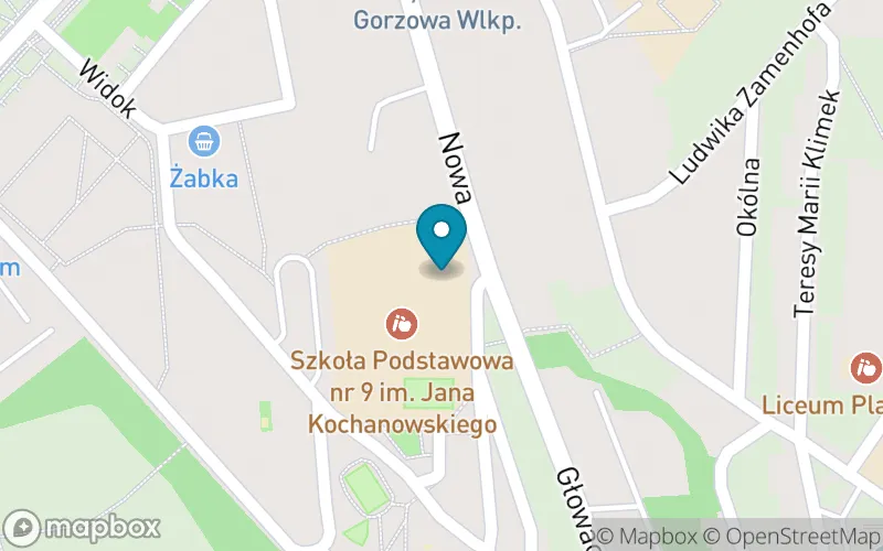 Lokalizacja: Szkoła Podstawowa nr 9 im. Jana Kochanowskiego w Gorzowie Wlkp.