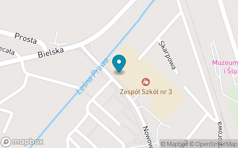 Lokalizacja: Społeczna Szkoła Muzyczna i St. w Hajnówce