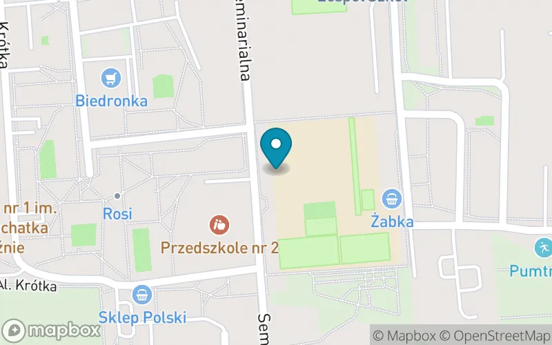 Lokalizacja: Szkoła Podstawowa nr 3 im. Powstańców Wielkopolskich w Rogoźnie