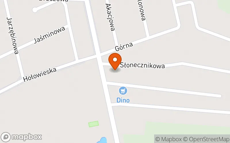Lokalizacja: Centrum Rozwoju Dziecka Izabela Szachowicz