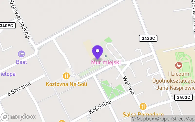 Lokalizacja: Państwowa Szkoła Muzyczna II St. w Inowrocławiu