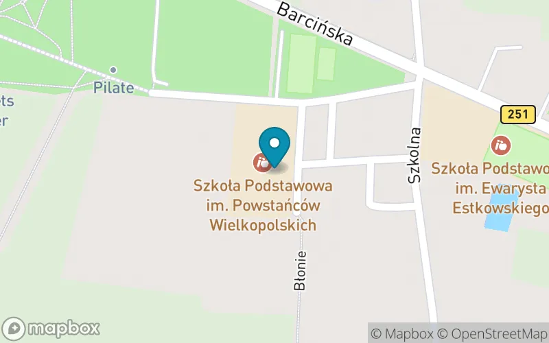 Lokalizacja: Szkoła Podstawowa im. Powstańców Wielkopolskich w Pakości