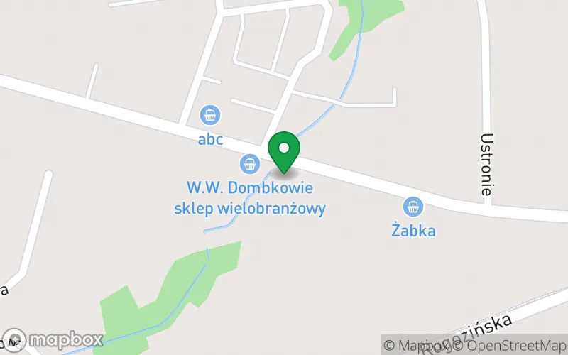 Lokalizacja: Przedszkole Publiczne nr 5 im. Chatka Puchatka w Wągrowcu