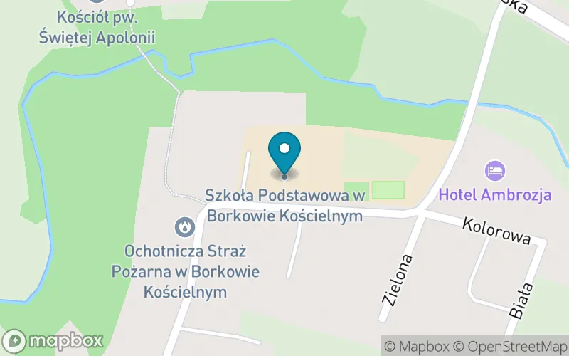 Lokalizacja: Szkoła Podstawowa im. Jana Pawła II w Borkowie Kościelnym