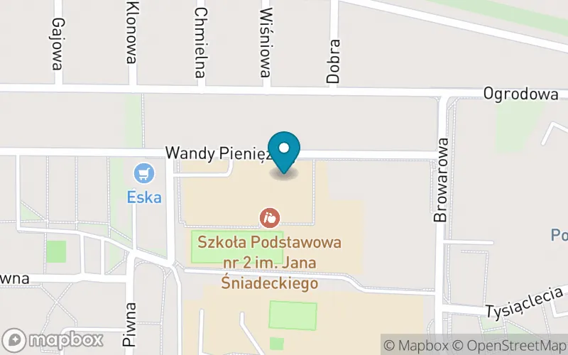 Lokalizacja: Szkoła Podstawowa nr 2 im. Jana Śniadeckiego w Żninie