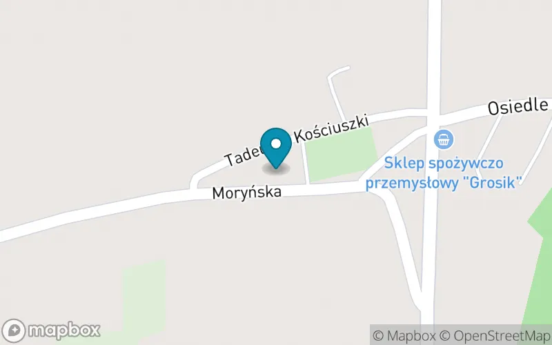 Lokalizacja: Szkoła Podstawowa Im.st.sierż. M. Majchrzaka w Moryniu Szkoła Filialna w Witnicy