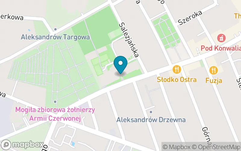 Lokalizacja: Publiczna Szkoła Podstawowa Towarzystwa Salezjańskiego im. Św. Jana Bosko