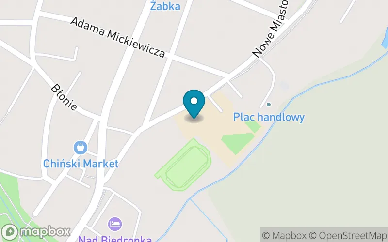 Lokalizacja: Szkoła Podstawowa nr 1 im. Kazimierza Wielkiego w Wieleniu
