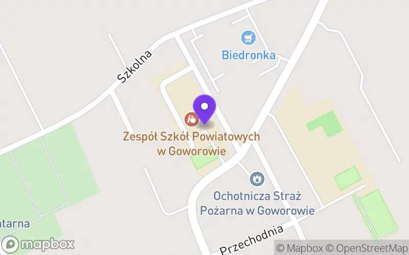 Lokalizacja: Technikum w Goworowie