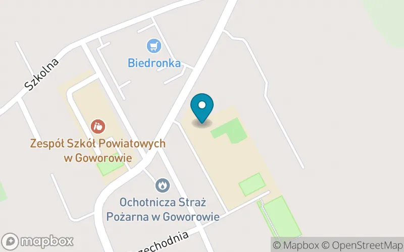 Lokalizacja: Szkoła Podstawowa im. Mikołaja Kopernika w Goworowie