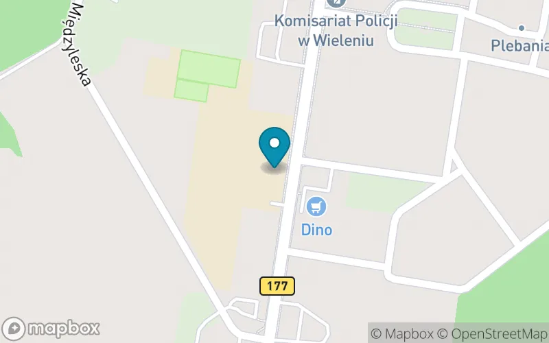 Lokalizacja: Szkoła Podstawowa nr 2 im. Jana Pawła II w Wieleniu