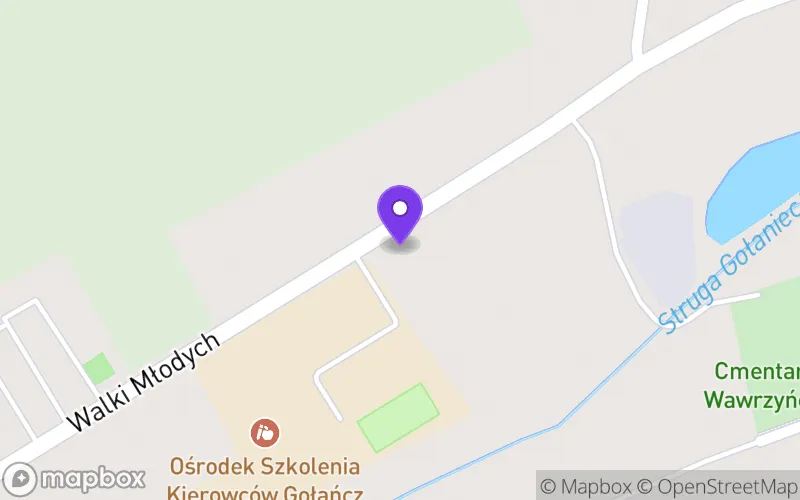 Lokalizacja: Branżowa Szkoła I Stopnia Specjalna w Gołańczy