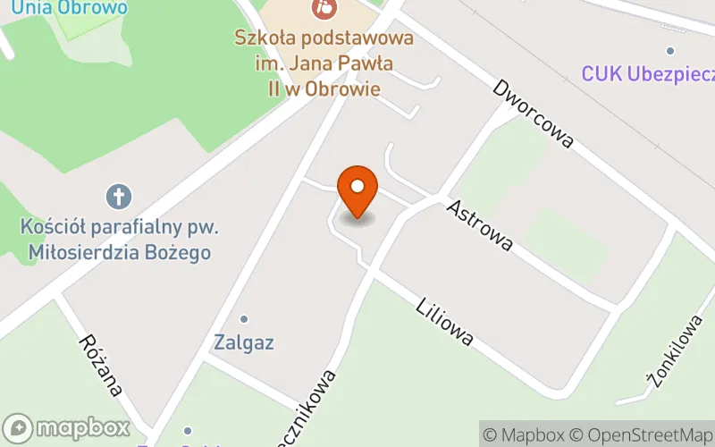 Lokalizacja: Niepubliczny Żłobek Niezapominajka
