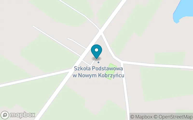 Lokalizacja: Szkoła Podstawowa w Nowym Kobrzyńcu