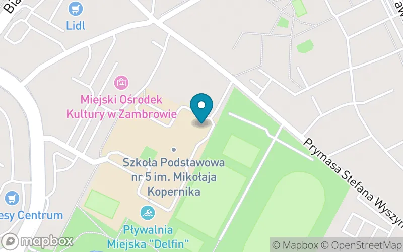 Lokalizacja: Szkoła Podstawowa nr 5 im. Mikołaja Kopernika w Zambrowie