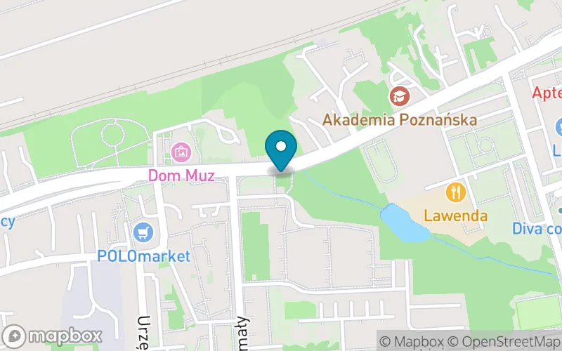 Lokalizacja: Niepubliczna Szkoła Podstawowa Montessori w Toruniu