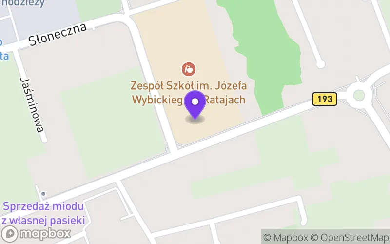 Lokalizacja: Technikum w Ratajach