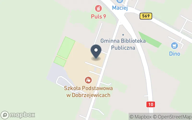 Lokalizacja: Zespół Szkół w Dobrzejewicach