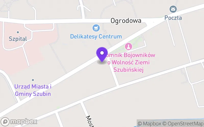 Lokalizacja: I Liceum Ogólnokształcące im. Stanisława Wyspiańskiego w Szubinie