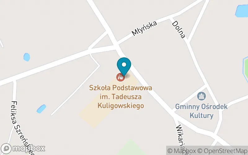 Lokalizacja: Szkoła Podstawowa im. Tadeusza Kuligowskiego w Szreńsku