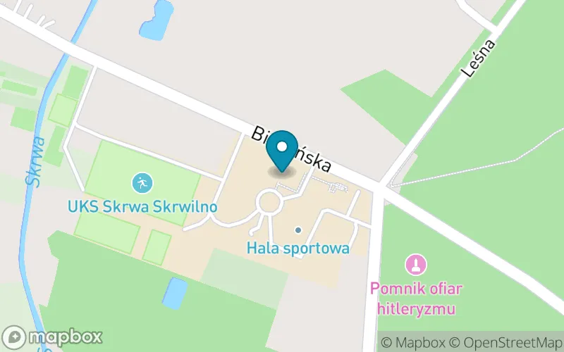 Lokalizacja: Szkoła Podstawowa im. Adama Mickiewicza w Skrwilnie