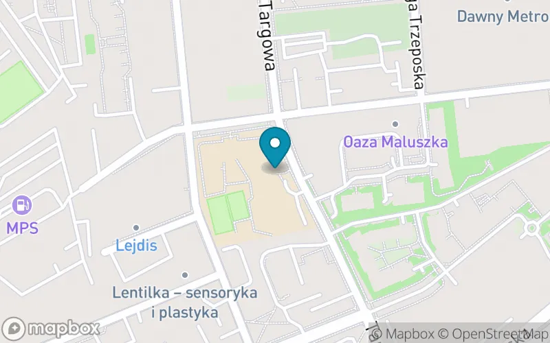 Lokalizacja: Szkoła Podstawowa nr 2 im. Adama Mickiewicza