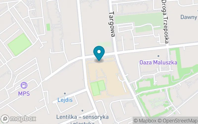 Lokalizacja: Szkoła Podstawowa dla Dzieci z Autyzmem Prometheus