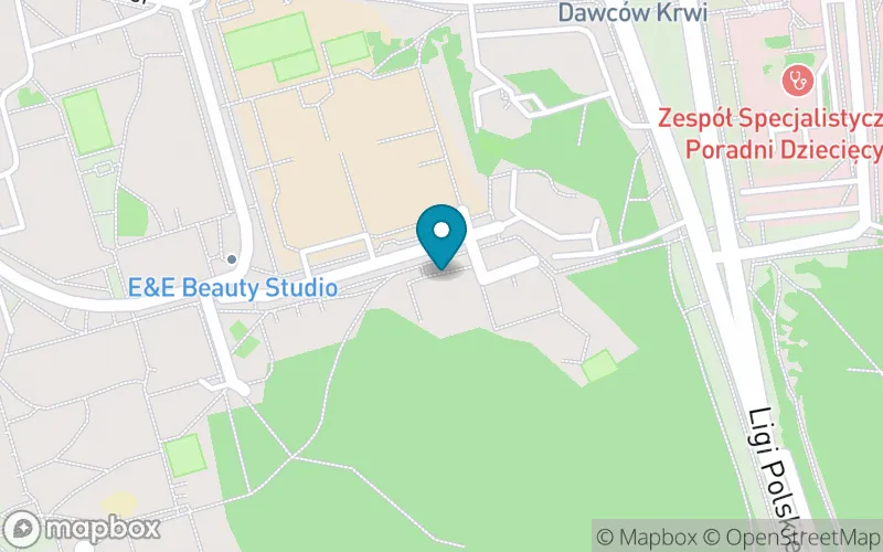 Lokalizacja: Społeczna Szkoła Podstawowa Stowarzyszenia "Edukacja"