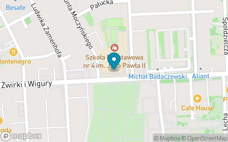 Lokalizacja: Szkoła Podstawowa nr 4 z Oddziałami Dwujęzycznymi im. Św. Jana Pawła II w Toruniu