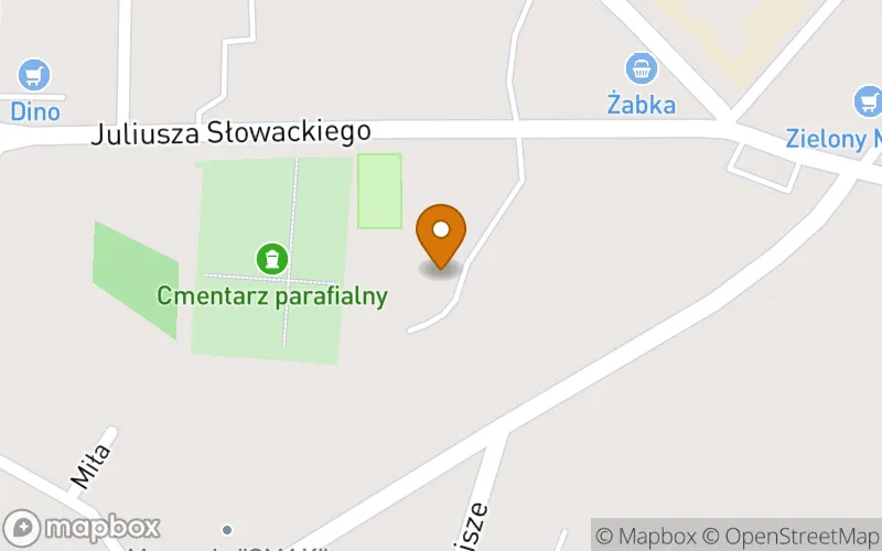 Lokalizacja: Szkoła Policealna w Troszynie
