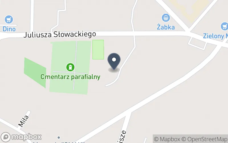 Lokalizacja: Zespół Szkół Powiatowych w Troszynie