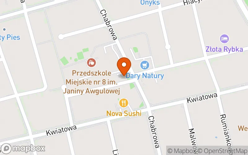 Lokalizacja: Mądry Maluch Filia