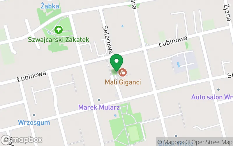 Lokalizacja: Niepubliczne Przedszkole Językowe "Mali Giganci"