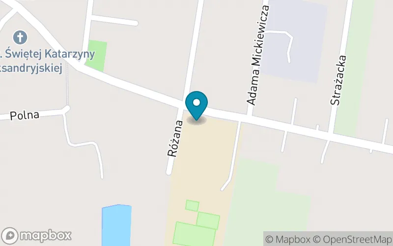 Lokalizacja: Szkoła Podstawowa im. Powstańców Wielkopolskich w Rynarzewie