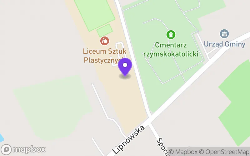 Lokalizacja: Liceum Sztuk Plastycznych w Rypinie