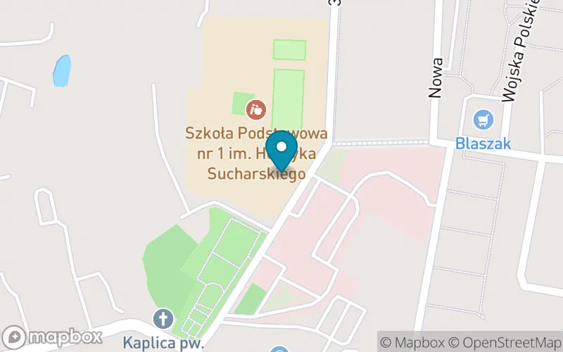 Lokalizacja: Szkoła Podstawowa nr 1 im. Mjr Henryka Sucharskiego w Rypinie