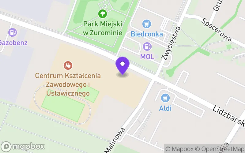 Lokalizacja: Technikum w Zespole Szkół Techniczno - Zawodowych im. Jana Pawła II w Żurominie