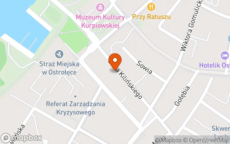 Lokalizacja: Niepubliczny Żłobek Zosia Samosia