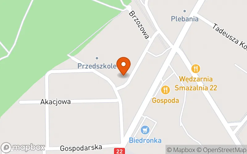 Lokalizacja: Żłobek Leśna Kraina w Człopie