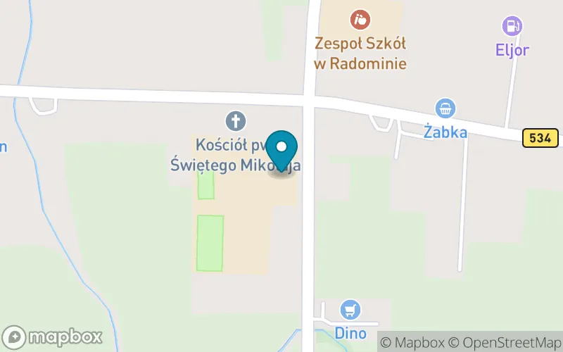 Lokalizacja: Zespół Szkół w Radominie Szkoła Podstawowa w Radominie