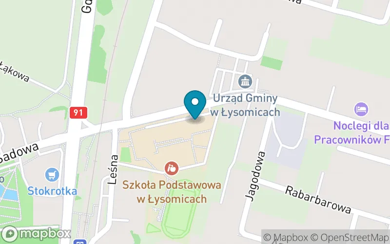 Lokalizacja: Szkoła Podstawowa w Łysomicach z Filią w Papowie Toruńskim