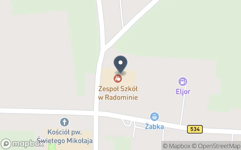 Lokalizacja: Zespół Szkół w Radominie