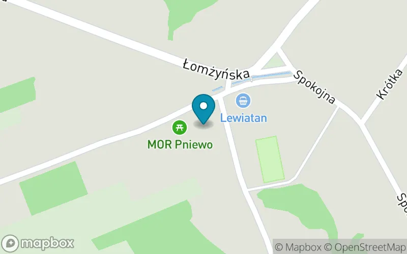 Lokalizacja: Szkoła Podstawowa im. Rodziny Jabłońskich w Pniewie