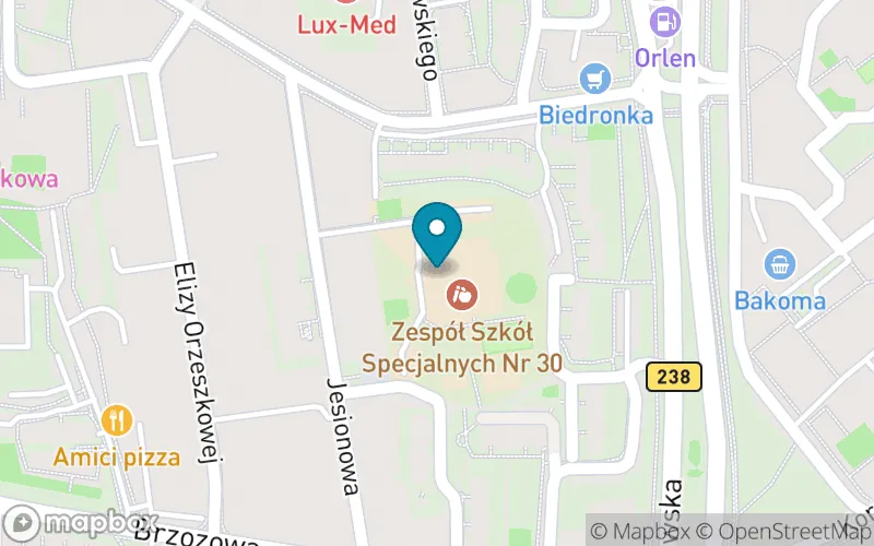 Lokalizacja: Szkoła Podstawowa nr 1 im. Kornela Makuszyńskiego Specjalna w Bydgoszczy