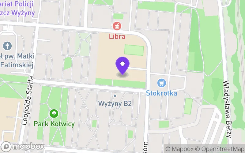 Lokalizacja: IX Liceum Ogólnokształcące im. Tadeusza Nowakowskiego z Oddziałami Dwujęzycznymi w Bydgoszczy
