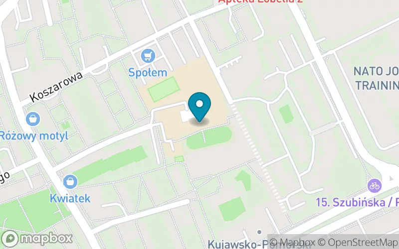 Lokalizacja: Szkoła Podstawowa nr 48 z Oddziałami Specjalnymi i Sportowymi w Bydgoszczy