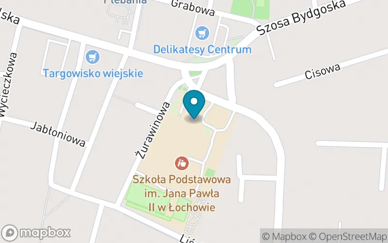 Lokalizacja: Szkoła Podstawowa im. Jana Pawła II w Łochowie