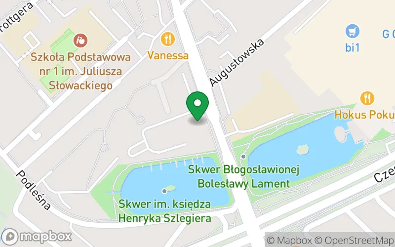 Lokalizacja: Przedszkole Niepubliczne Dzielne Zuchy